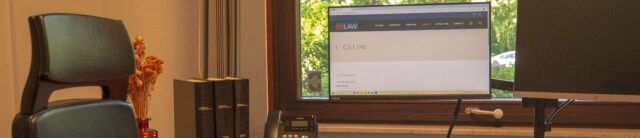 Maître Ludovica GELINI avocat Bruxelles