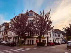 Cabinet BAZACLE & SOLON Avocat Bruxelles 